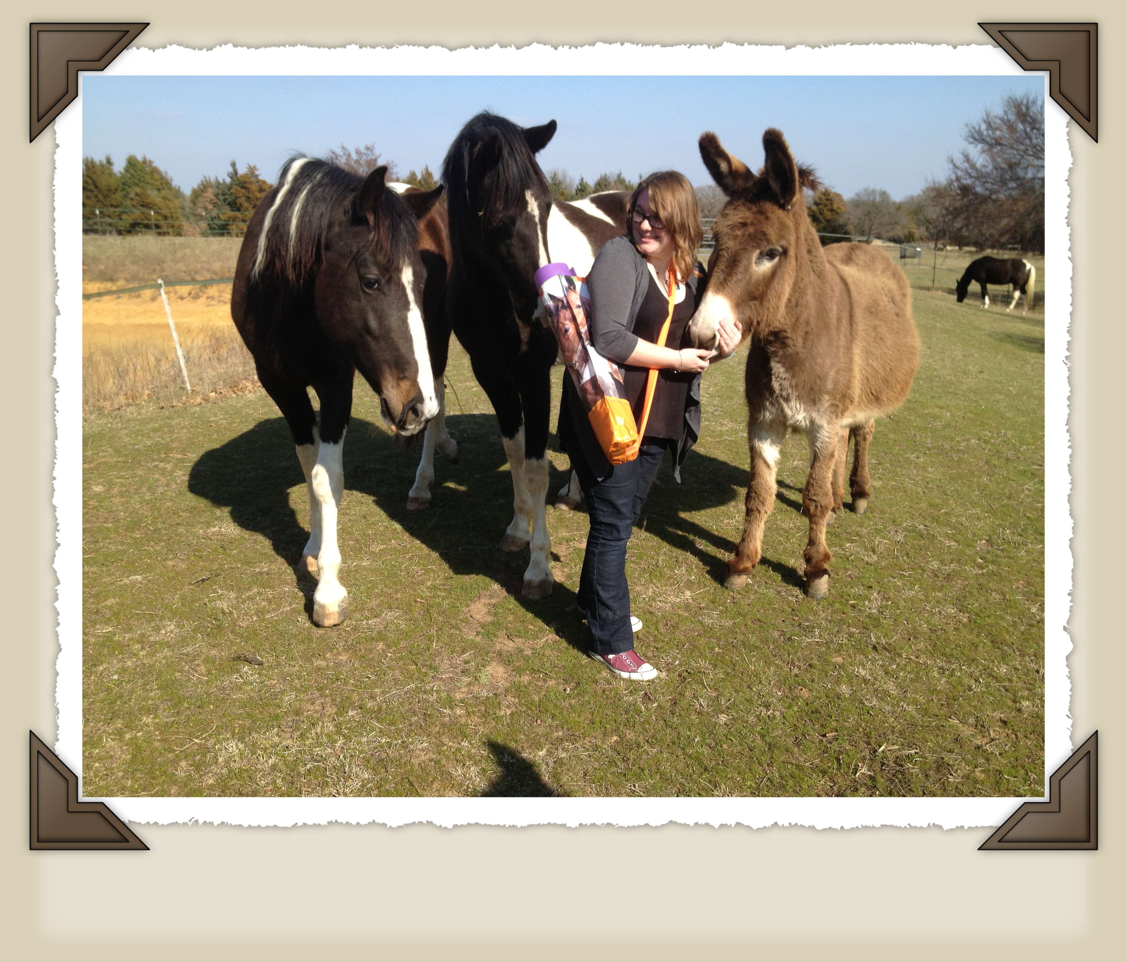 Go Green and recycle horse feed sacks